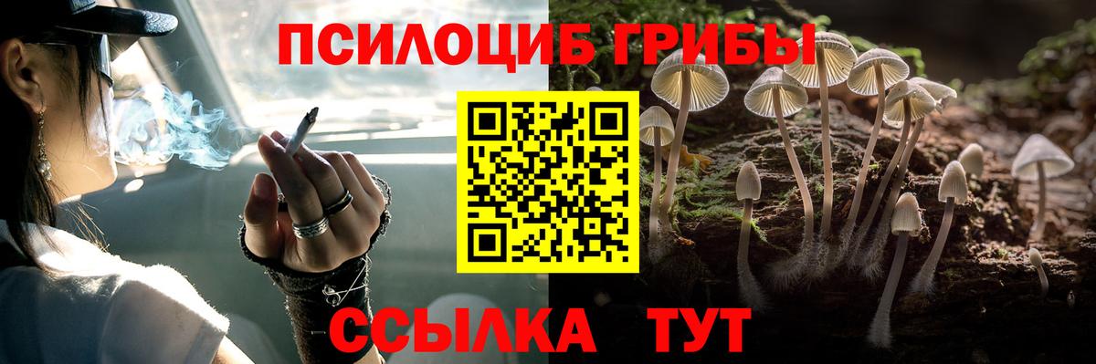 Галлюциногенные грибы Psilocybine cubensis Надым