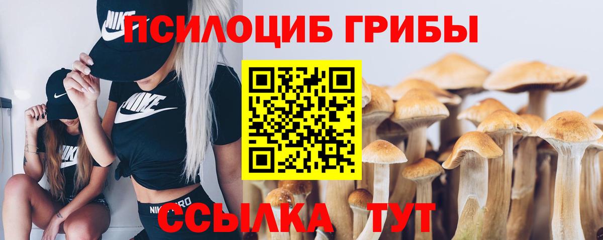 Псилоцибиновые грибы Psilocybine cubensis  Вход с VPN  Надым  Галлюциногенные грибы GOLDEN TEACHER 